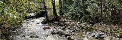 Creek with rocks emerging and trees on both sides