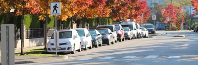 Cars parked on a tree-lined street