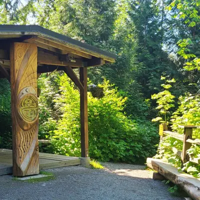 Wood-framed shelter beside a path among the trees