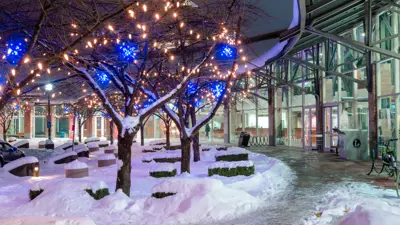 City Hall at night with snow on the ground and lights on the trees