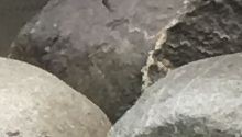 Sculpture - Moraine Train TEASER