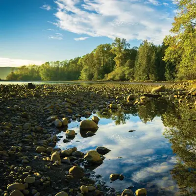Shallow water and trees along the shoreline