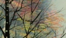 Jack Prasad, Changing Colours, 2010
