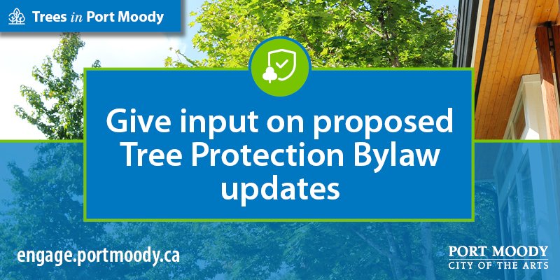 tree protection bylaw updates