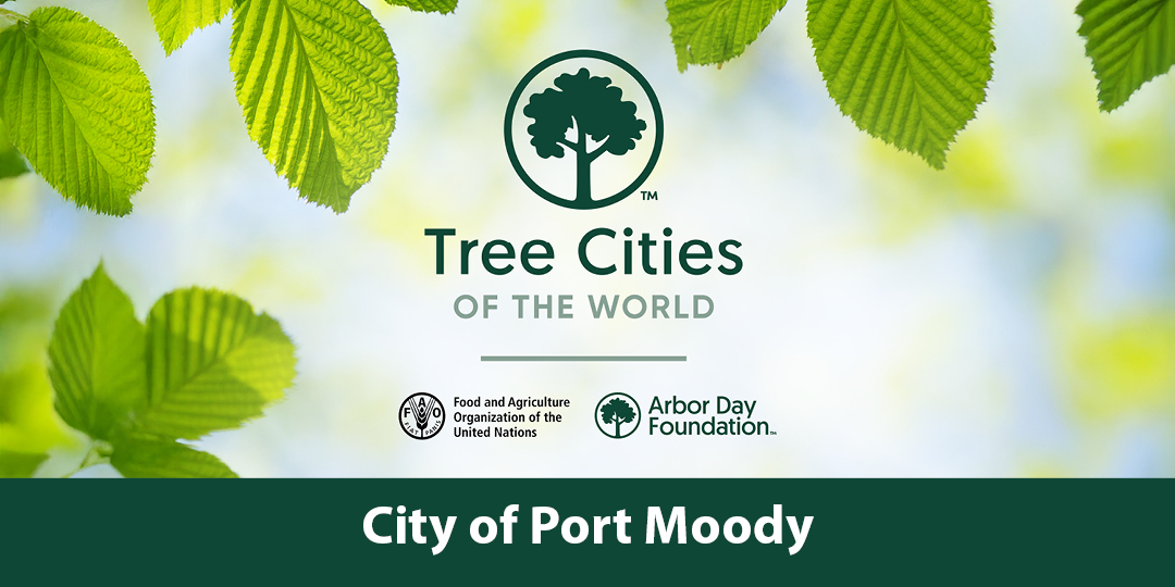 Tree Cities of the World Banner with logo in the centre and leaves around the outside