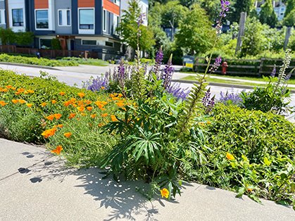 boulevard flowers