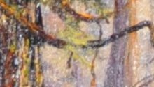 Marian Hazelwood, Forest Garden