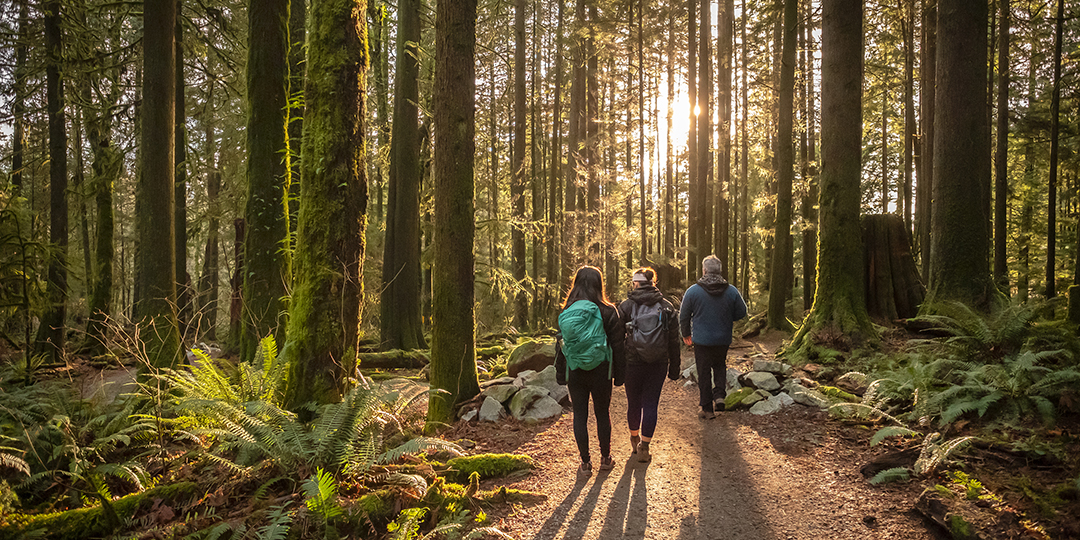 2025 nature challenge people on forest trail