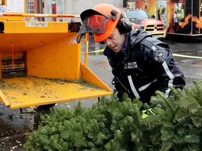 Firefighter chipping a tree