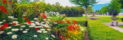 flower beds in the park