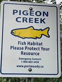 fish sign
