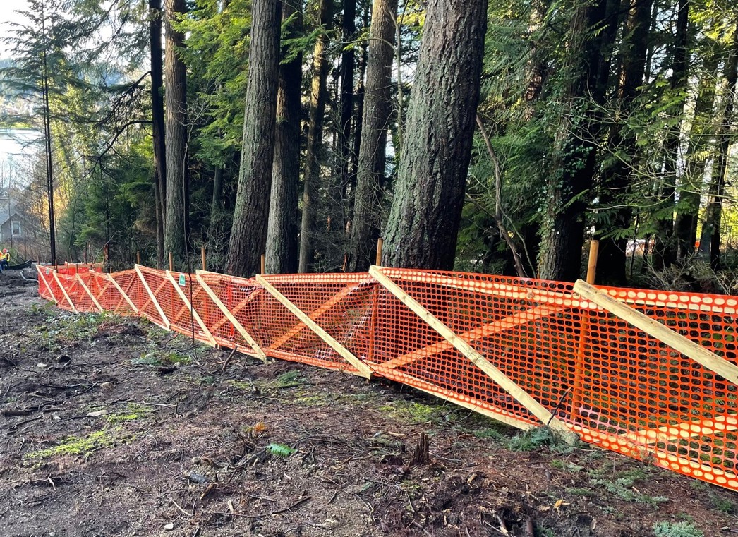 Trees protected by barrier fencing