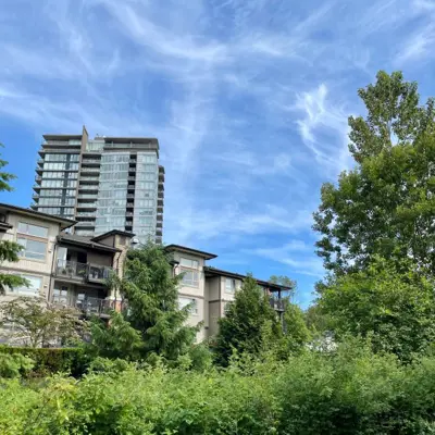 Highrise and lowrise residential buildings with trees in front