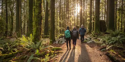 people walking in the forest