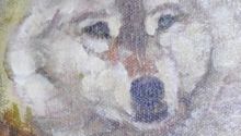 Val Philbrook, Relaxing Wolf, acylic TEASER