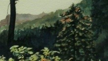 Drew, Unknown