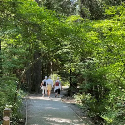 People walking along a wooded path