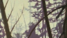 Pierre Gelineau, Brunette River at Hume Park