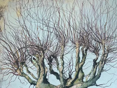 painting of a tree with branches but no leaves