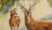 Laurie Thompson, Untitled, Watercolour