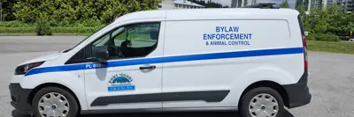 Bylaw vehicle in parking lot
