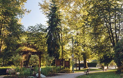 pioneer park