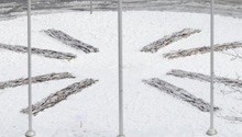 Temporary - Eight lines of branches in two places TEASER