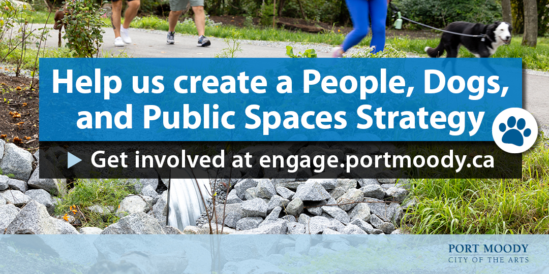 Dog walkers on the shoreline trail